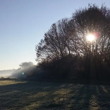 ベッド・アンド・ブレックファスト To ローマ