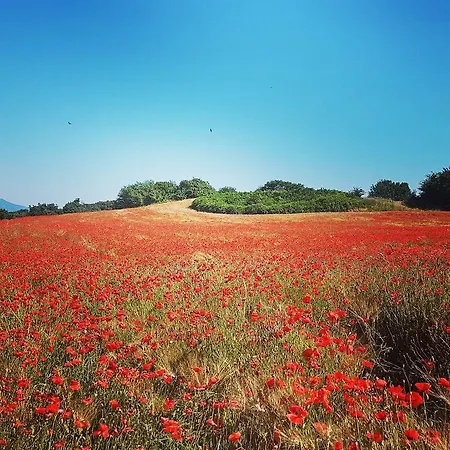 Couette-café To Rome