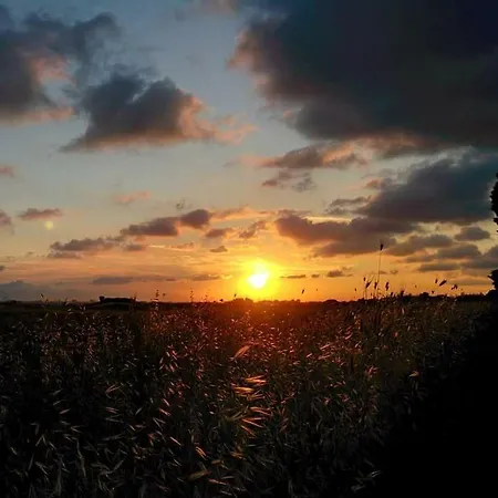 לינה וארוחת בוקר To רומא